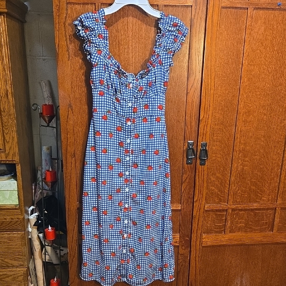 Urban Outfitters Blue Gingham Dress with Red Cherry Print
